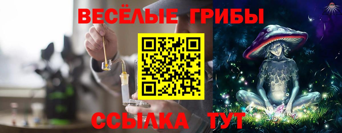 Артём  Галлюциногенные грибы Magic Shrooms  Вход с VPN 