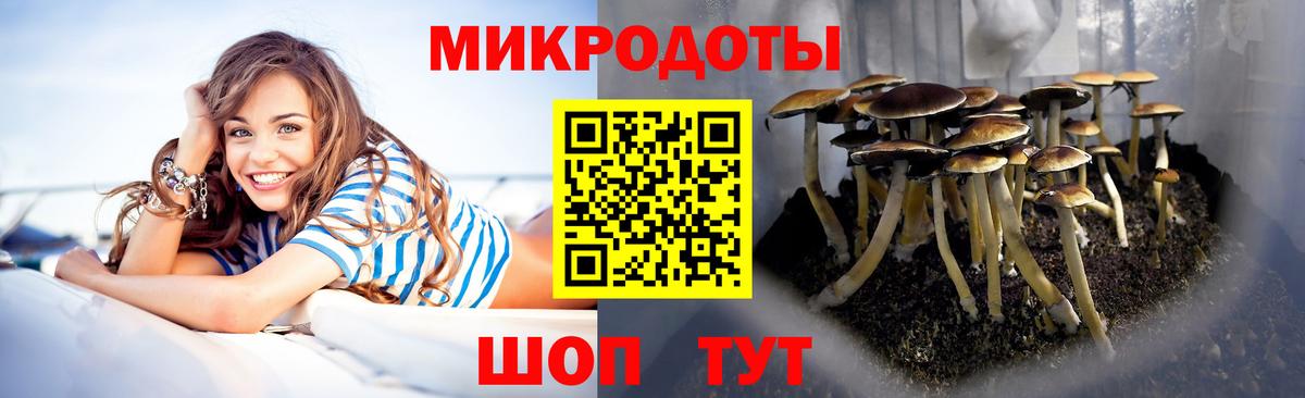 Галлюциногенные грибы мухоморы Артём